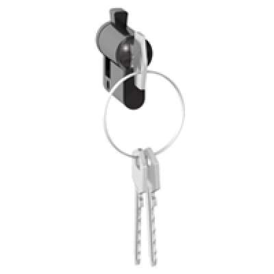 Interrupteur à clé 'Accès sécurisé'' avec jeu unique de 3 clés pour boîtier Plexo 69706 Legrand