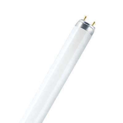 Lampe TL T8 Lumilux L36W/31-830 G13 blanc chaud Osram