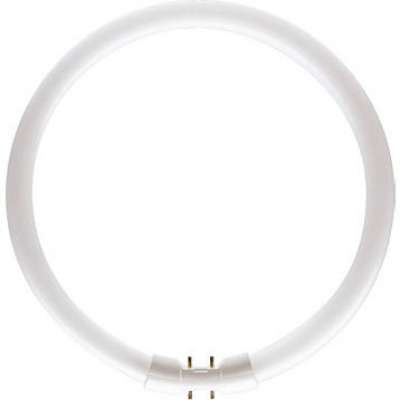 Lampe circulaire Master TL5 Circular 60W/840/2GX13 blanc froid Philips
